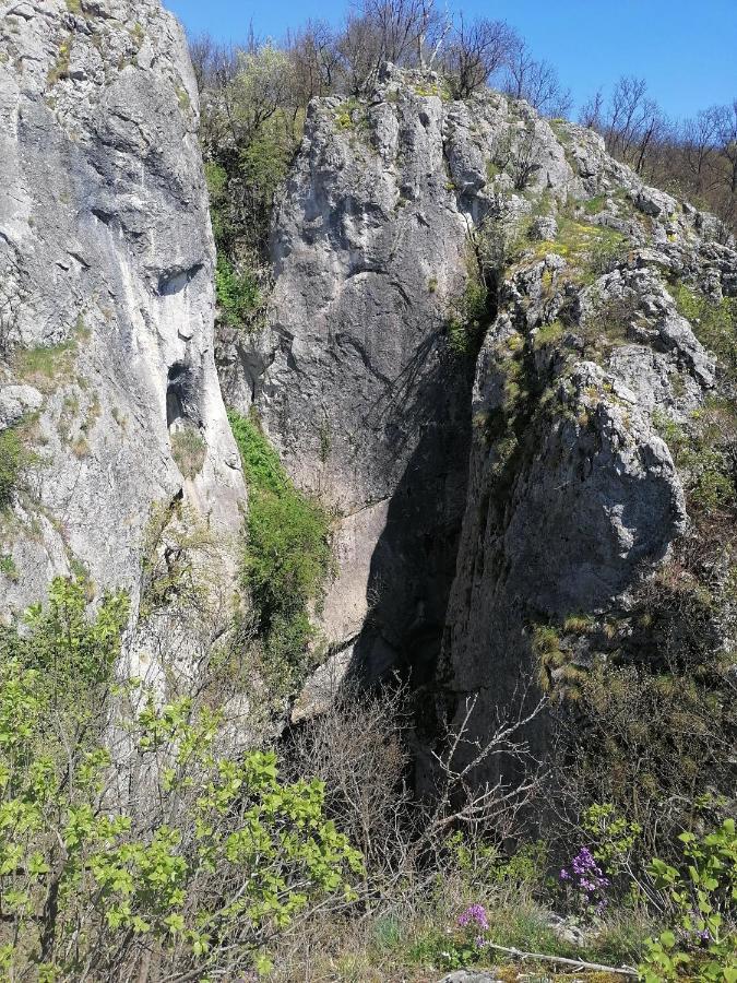 Willa Etno Kuca Badejevic Plavna Zewnętrze zdjęcie