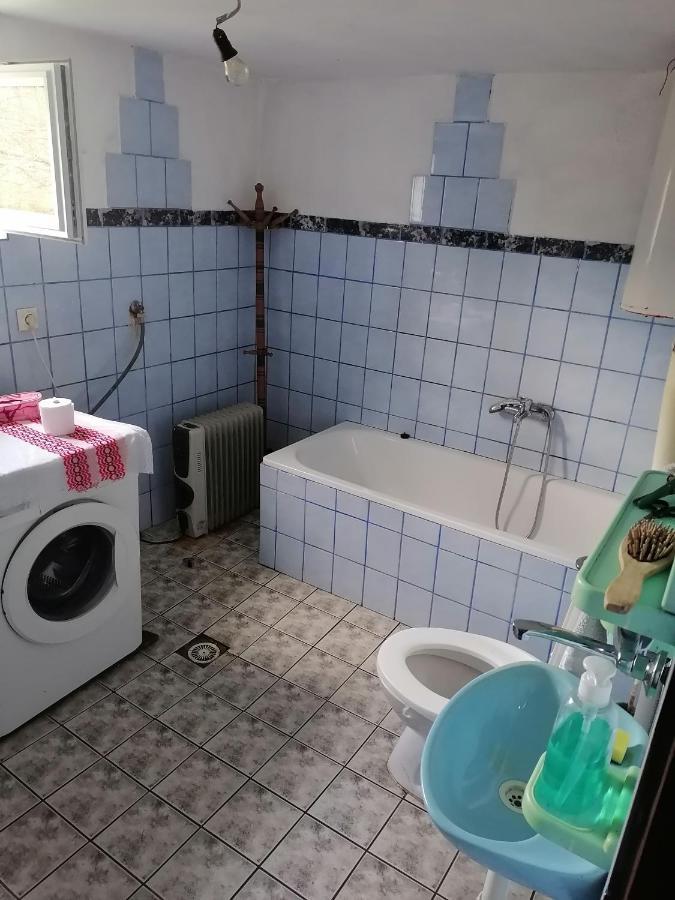 Willa Etno Kuca Badejevic Plavna Zewnętrze zdjęcie