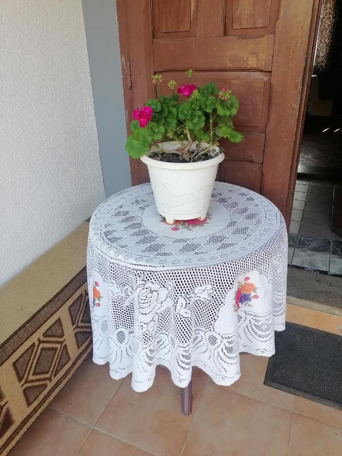 Willa Etno Kuca Badejevic Plavna Zewnętrze zdjęcie